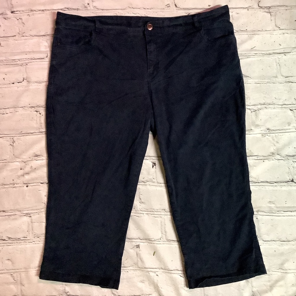 AVENUE WOMENS PANTS.